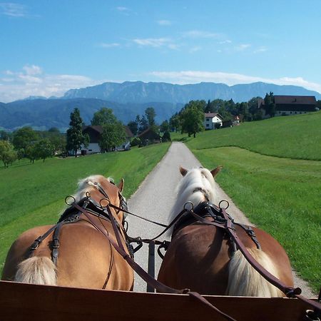 Gasthofladen Schneeweiss Attersee Exterior foto